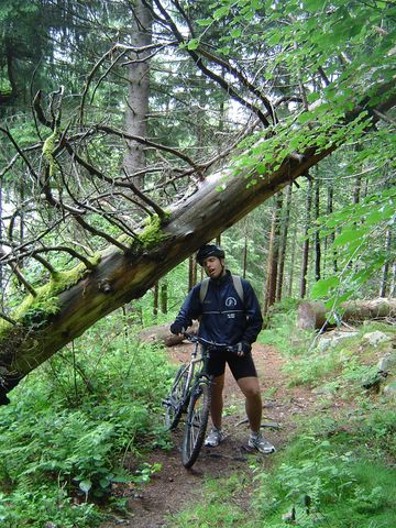 Descente sur Gerardmer6